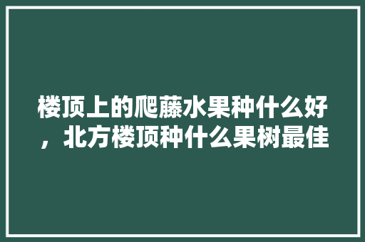 楼顶上的爬藤水果种什么好，北方楼顶种什么果树最佳。 楼顶上的爬藤水果种什么好，北方楼顶种什么果树最佳。 土壤施肥