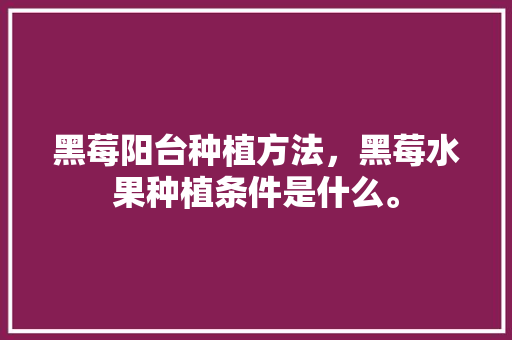 黑莓阳台种植方法，黑莓水果种植条件是什么。 黑莓阳台种植方法，黑莓水果种植条件是什么。 蔬菜种植