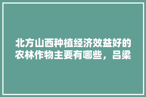 北方山西种植经济效益好的农林作物主要有哪些，吕梁水果推荐种植基地在哪里。 北方山西种植经济效益好的农林作物主要有哪些，吕梁水果推荐种植基地在哪里。 土壤施肥