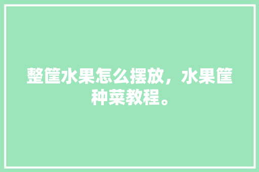 整筐水果怎么摆放，水果筐种菜教程。 整筐水果怎么摆放，水果筐种菜教程。 蔬菜种植