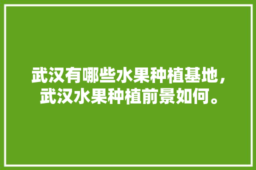 武汉有哪些水果种植基地，武汉水果种植前景如何。 武汉有哪些水果种植基地，武汉水果种植前景如何。 水果种植