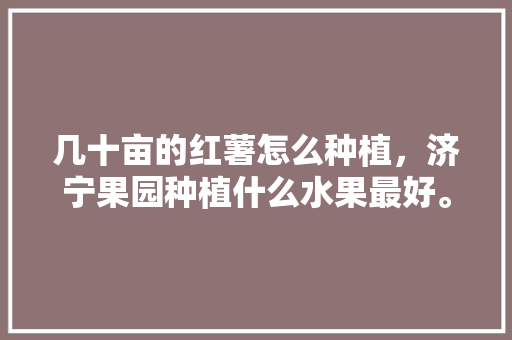 几十亩的红薯怎么种植，济宁果园种植什么水果最好。 几十亩的红薯怎么种植，济宁果园种植什么水果最好。 水果种植