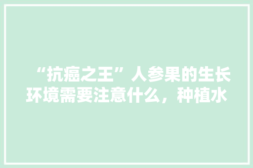 “抗癌之王”人参果的生长环境需要注意什么，种植水果大王是谁。 “抗癌之王”人参果的生长环境需要注意什么，种植水果大王是谁。 土壤施肥