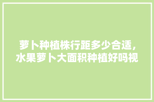 萝卜种植株行距多少合适，水果萝卜大面积种植好吗视频。 萝卜种植株行距多少合适，水果萝卜大面积种植好吗视频。 畜牧养殖