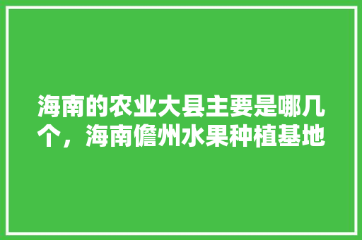 海南的农业大县主要是哪几个，海南儋州水果种植基地。 海南的农业大县主要是哪几个，海南儋州水果种植基地。 土壤施肥