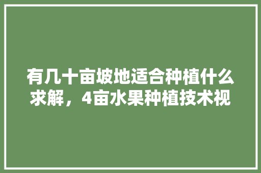 有几十亩坡地适合种植什么求解，4亩水果种植技术视频。 有几十亩坡地适合种植什么求解，4亩水果种植技术视频。 土壤施肥