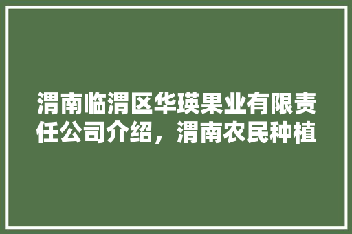 渭南临渭区华瑛果业有限责任公司介绍，渭南农民种植水果补贴政策。 渭南临渭区华瑛果业有限责任公司介绍，渭南农民种植水果补贴政策。 蔬菜种植