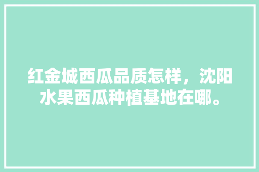 红金城西瓜品质怎样，沈阳水果西瓜种植基地在哪。 红金城西瓜品质怎样，沈阳水果西瓜种植基地在哪。 蔬菜种植