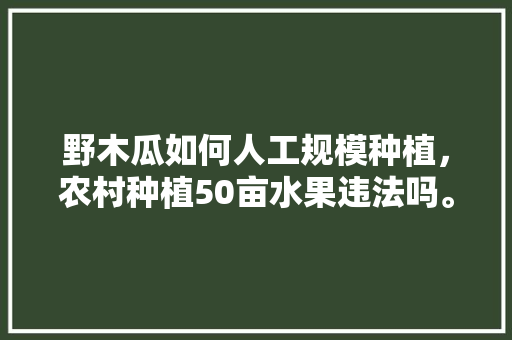 野木瓜如何人工规模种植，农村种植50亩水果违法吗。 野木瓜如何人工规模种植，农村种植50亩水果违法吗。 蔬菜种植