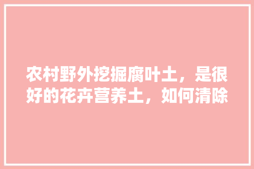 农村野外挖掘腐叶土，是很好的花卉营养土，如何清除里面的虫卵呢，种植水果除虫方法视频教程。 农村野外挖掘腐叶土，是很好的花卉营养土，如何清除里面的虫卵呢，种植水果除虫方法视频教程。 水果种植