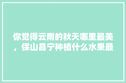 你觉得云南的秋天哪里最美，保山昌宁种植什么水果最多。 你觉得云南的秋天哪里最美，保山昌宁种植什么水果最多。 蔬菜种植