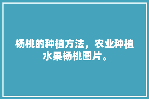 杨桃的种植方法，农业种植水果杨桃图片。 杨桃的种植方法，农业种植水果杨桃图片。 畜牧养殖