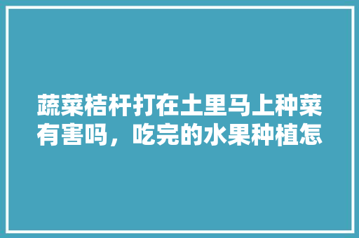 蔬菜桔杆打在土里马上种菜有害吗，吃完的水果种植怎么处理。 蔬菜桔杆打在土里马上种菜有害吗，吃完的水果种植怎么处理。 水果种植