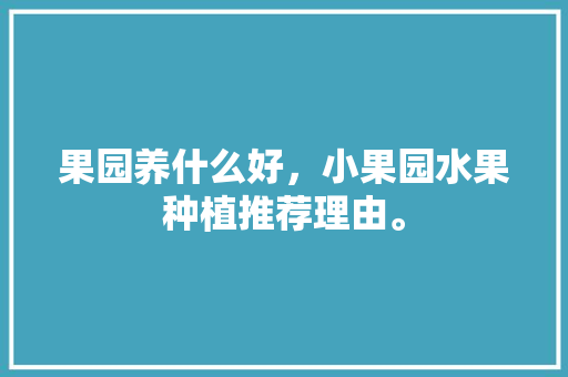 果园养什么好，小果园水果种植推荐理由。 果园养什么好，小果园水果种植推荐理由。 土壤施肥