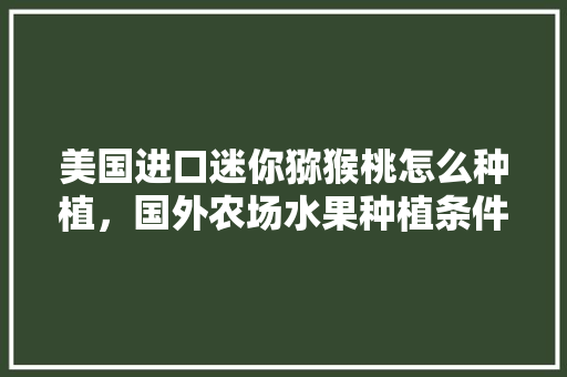 美国进口迷你猕猴桃怎么种植，国外农场水果种植条件是什么。 美国进口迷你猕猴桃怎么种植，国外农场水果种植条件是什么。 土壤施肥