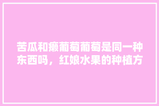 苦瓜和癞葡萄葡萄是同一种东西吗，红娘水果的种植方法视频。 苦瓜和癞葡萄葡萄是同一种东西吗，红娘水果的种植方法视频。 蔬菜种植