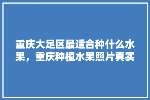 重庆大足区最适合种什么水果，重庆种植水果照片真实。 重庆大足区最适合种什么水果，重庆种植水果照片真实。 蔬菜种植