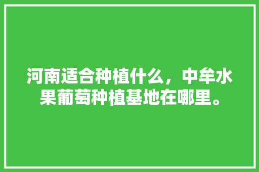 河南适合种植什么，中牟水果葡萄种植基地在哪里。 河南适合种植什么，中牟水果葡萄种植基地在哪里。 水果种植