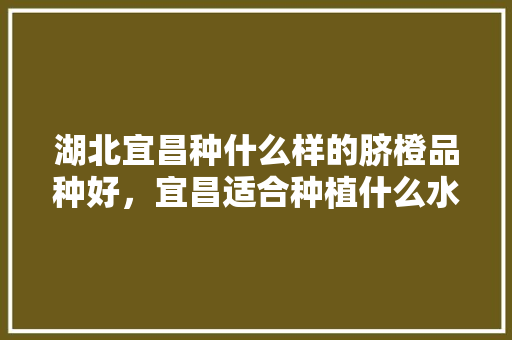 湖北宜昌种什么样的脐橙品种好，宜昌适合种植什么水果。 湖北宜昌种什么样的脐橙品种好，宜昌适合种植什么水果。 畜牧养殖