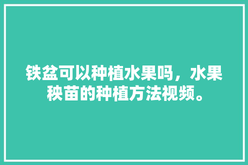 铁盆可以种植水果吗，水果秧苗的种植方法视频。 铁盆可以种植水果吗，水果秧苗的种植方法视频。 蔬菜种植