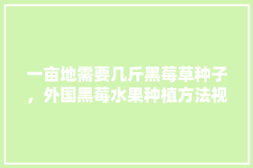 一亩地需要几斤黑莓草种子，外国黑莓水果种植方法视频。 一亩地需要几斤黑莓草种子，外国黑莓水果种植方法视频。 蔬菜种植