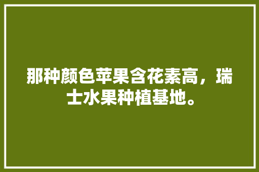 那种颜色苹果含花素高，瑞士水果种植基地。 那种颜色苹果含花素高，瑞士水果种植基地。 蔬菜种植