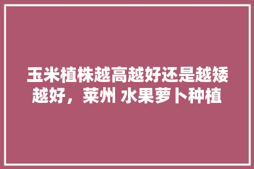 玉米植株越高越好还是越矮越好，莱州 水果萝卜种植面积多少亩。 玉米植株越高越好还是越矮越好，莱州 水果萝卜种植面积多少亩。 水果种植