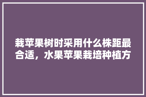 栽苹果树时采用什么株距最合适，水果苹果栽培种植方法。 栽苹果树时采用什么株距最合适，水果苹果栽培种植方法。 家禽养殖