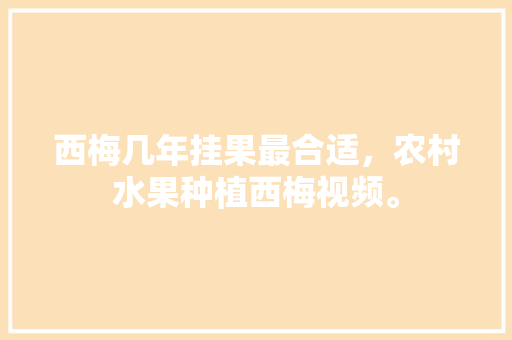 西梅几年挂果最合适，农村水果种植西梅视频。 西梅几年挂果最合适，农村水果种植西梅视频。 蔬菜种植