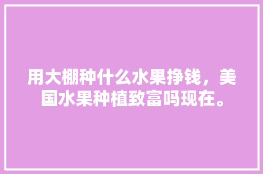 用大棚种什么水果挣钱，美国水果种植致富吗现在。 用大棚种什么水果挣钱，美国水果种植致富吗现在。 蔬菜种植