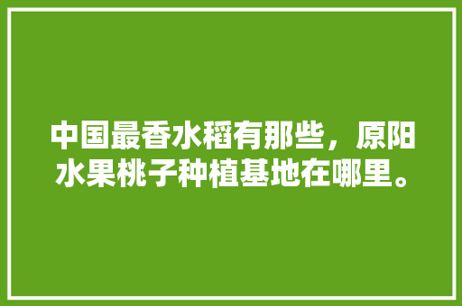 中国最香水稻有那些，原阳水果桃子种植基地在哪里。 中国最香水稻有那些，原阳水果桃子种植基地在哪里。 家禽养殖