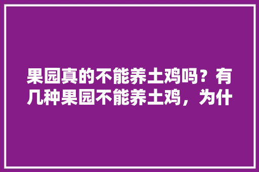 果园真的不能养土鸡吗？有几种果园不能养土鸡，为什么，水果种植视频教程。 果园真的不能养土鸡吗？有几种果园不能养土鸡，为什么，水果种植视频教程。 畜牧养殖