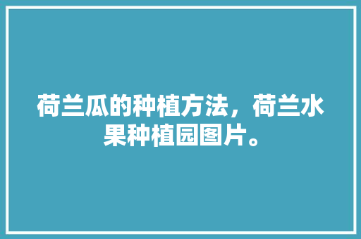 荷兰瓜的种植方法，荷兰水果种植园图片。 荷兰瓜的种植方法，荷兰水果种植园图片。 家禽养殖