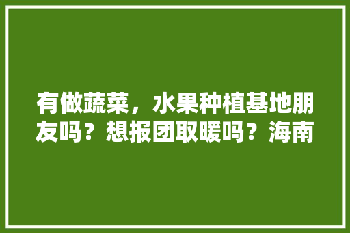 有做蔬菜，水果种植基地朋友吗？想报团取暖吗？海南，云贵，两广，水果种植基地建设方案范文。 有做蔬菜，水果种植基地朋友吗？想报团取暖吗？海南，云贵，两广，水果种植基地建设方案范文。 土壤施肥