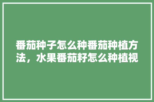 番茄种子怎么种番茄种植方法，水果番茄籽怎么种植视频。 番茄种子怎么种番茄种植方法，水果番茄籽怎么种植视频。 畜牧养殖