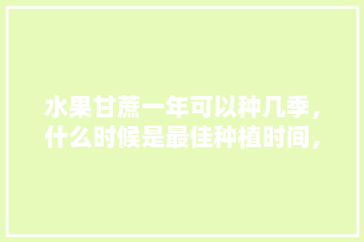 水果甘蔗一年可以种几季，什么时候是最佳种植时间，几种水果种植时间最长的品种。 水果甘蔗一年可以种几季，什么时候是最佳种植时间，几种水果种植时间最长的品种。 土壤施肥