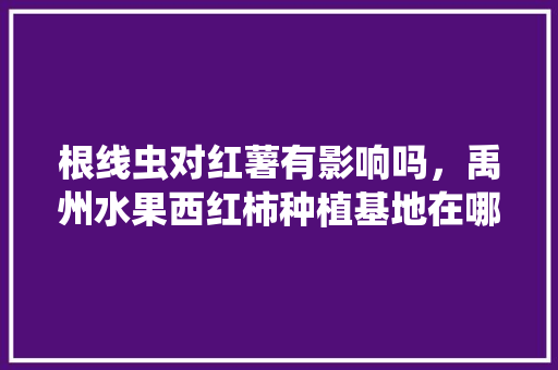 根线虫对红薯有影响吗，禹州水果西红柿种植基地在哪里。 根线虫对红薯有影响吗，禹州水果西红柿种植基地在哪里。 蔬菜种植