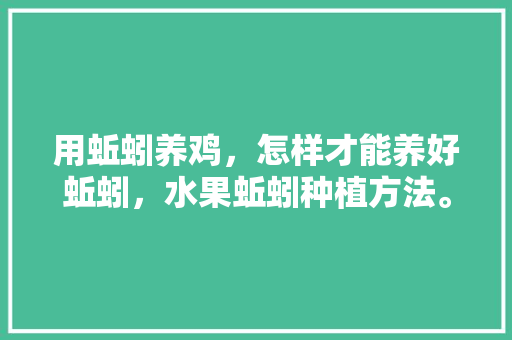 用蚯蚓养鸡，怎样才能养好蚯蚓，水果蚯蚓种植方法。 用蚯蚓养鸡，怎样才能养好蚯蚓，水果蚯蚓种植方法。 土壤施肥