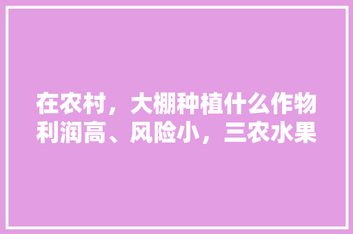 在农村，大棚种植什么作物利润高、风险小，三农水果大棚种植技术。 在农村，大棚种植什么作物利润高、风险小，三农水果大棚种植技术。 水果种植