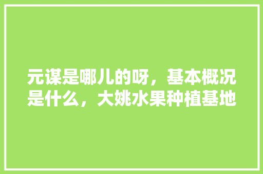 元谋是哪儿的呀，基本概况是什么，大姚水果种植基地。 元谋是哪儿的呀，基本概况是什么，大姚水果种植基地。 水果种植