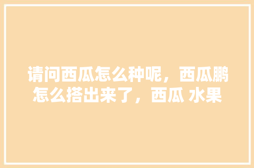 请问西瓜怎么种呢，西瓜鹏怎么搭出来了，西瓜 水果之王。 请问西瓜怎么种呢，西瓜鹏怎么搭出来了，西瓜 水果之王。 家禽养殖