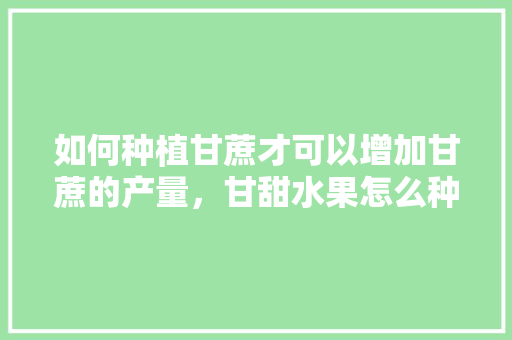 如何种植甘蔗才可以增加甘蔗的产量，甘甜水果怎么种植视频。 如何种植甘蔗才可以增加甘蔗的产量，甘甜水果怎么种植视频。 水果种植