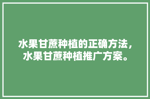 水果甘蔗种植的正确方法，水果甘蔗种植推广方案。 水果甘蔗种植的正确方法，水果甘蔗种植推广方案。 水果种植