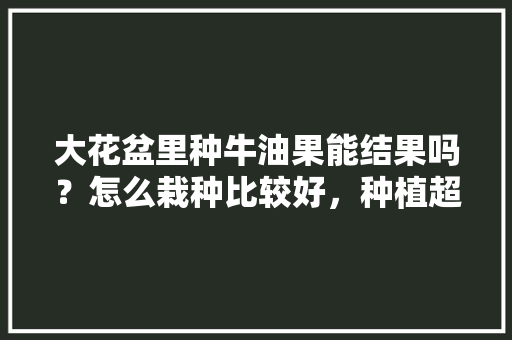 大花盆里种牛油果能结果吗？怎么栽种比较好，种植超大号水果图片大全。 大花盆里种牛油果能结果吗？怎么栽种比较好，种植超大号水果图片大全。 水果种植