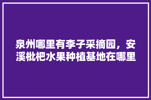 泉州哪里有李子采摘园，安溪枇杷水果种植基地在哪里。 泉州哪里有李子采摘园，安溪枇杷水果种植基地在哪里。 蔬菜种植