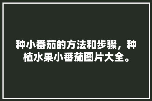 种小番茄的方法和步骤，种植水果小番茄图片大全。 种小番茄的方法和步骤，种植水果小番茄图片大全。 蔬菜种植