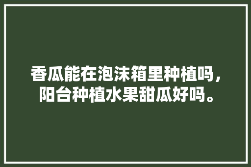 香瓜能在泡沫箱里种植吗，阳台种植水果甜瓜好吗。 香瓜能在泡沫箱里种植吗，阳台种植水果甜瓜好吗。 畜牧养殖