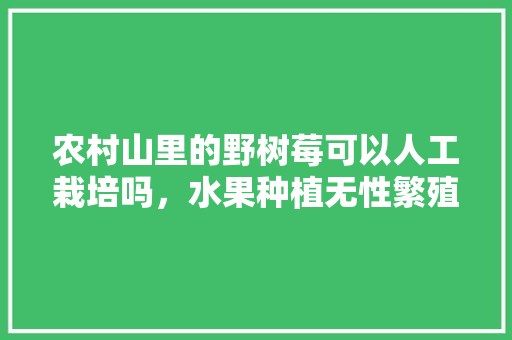 农村山里的野树莓可以人工栽培吗，水果种植无性繁殖。 农村山里的野树莓可以人工栽培吗，水果种植无性繁殖。 水果种植