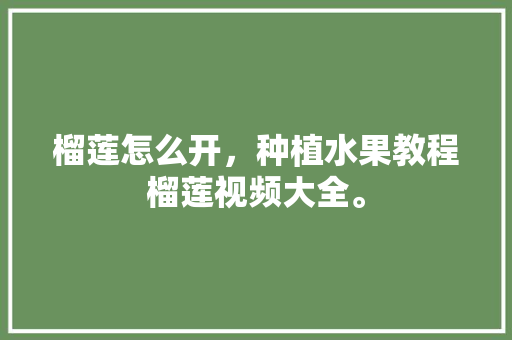 榴莲怎么开，种植水果教程榴莲视频大全。 榴莲怎么开，种植水果教程榴莲视频大全。 蔬菜种植