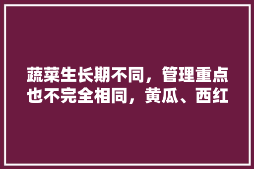 蔬菜生长期不同，管理重点也不完全相同，黄瓜、西红柿如何高产，水果黄瓜西红柿种植技术视频。 蔬菜生长期不同，管理重点也不完全相同，黄瓜、西红柿如何高产，水果黄瓜西红柿种植技术视频。 蔬菜种植